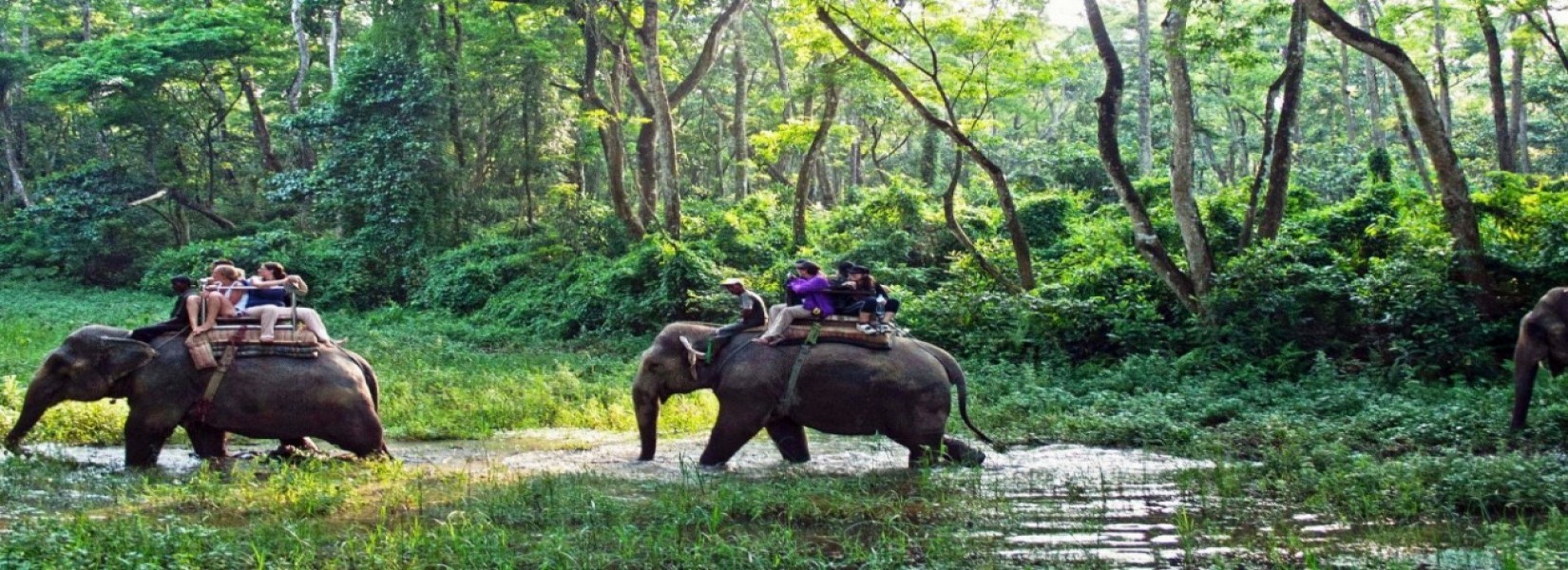 Golden Triangle Tour of Nepal