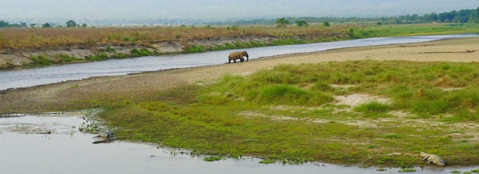 Kathmandu and Chitwan Tour