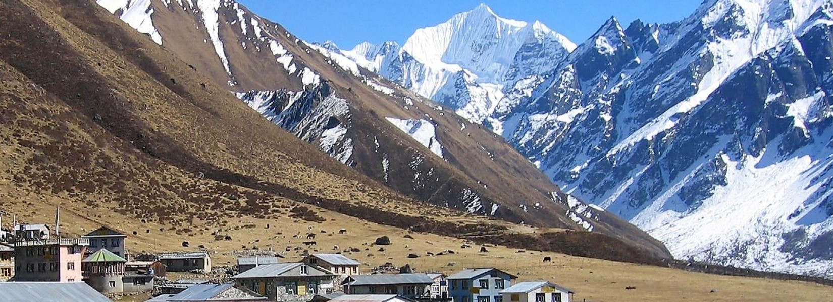 Langtang Valley Trek