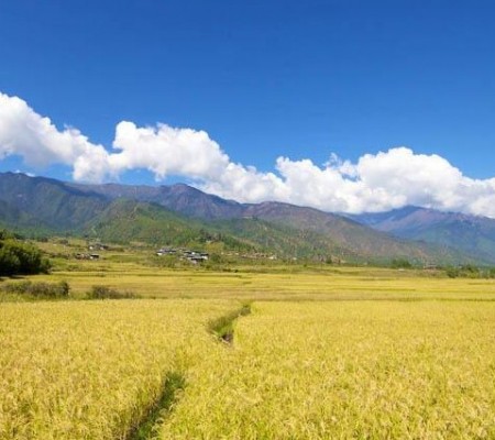 Paro Valley